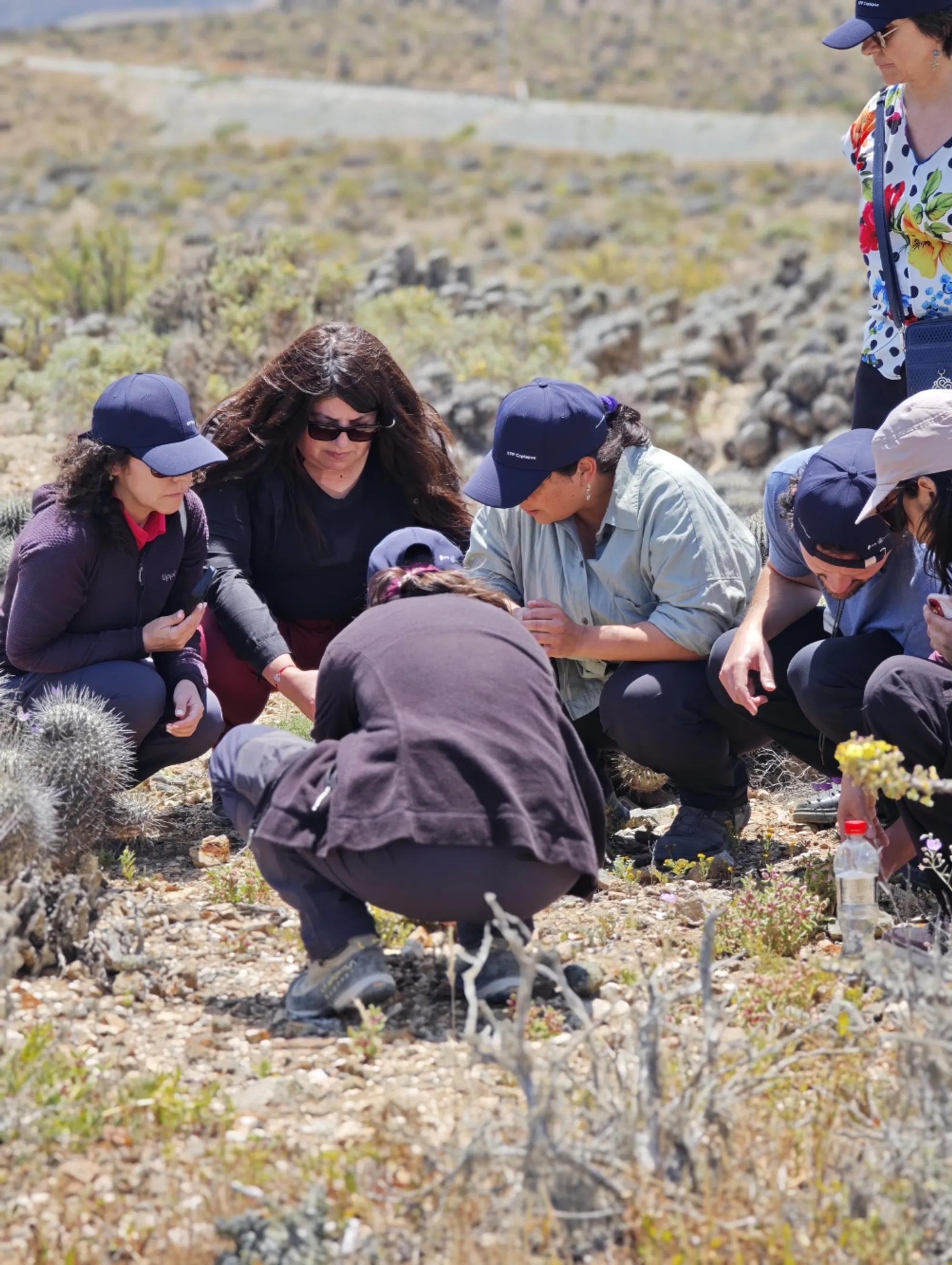 Imagen de galería 3