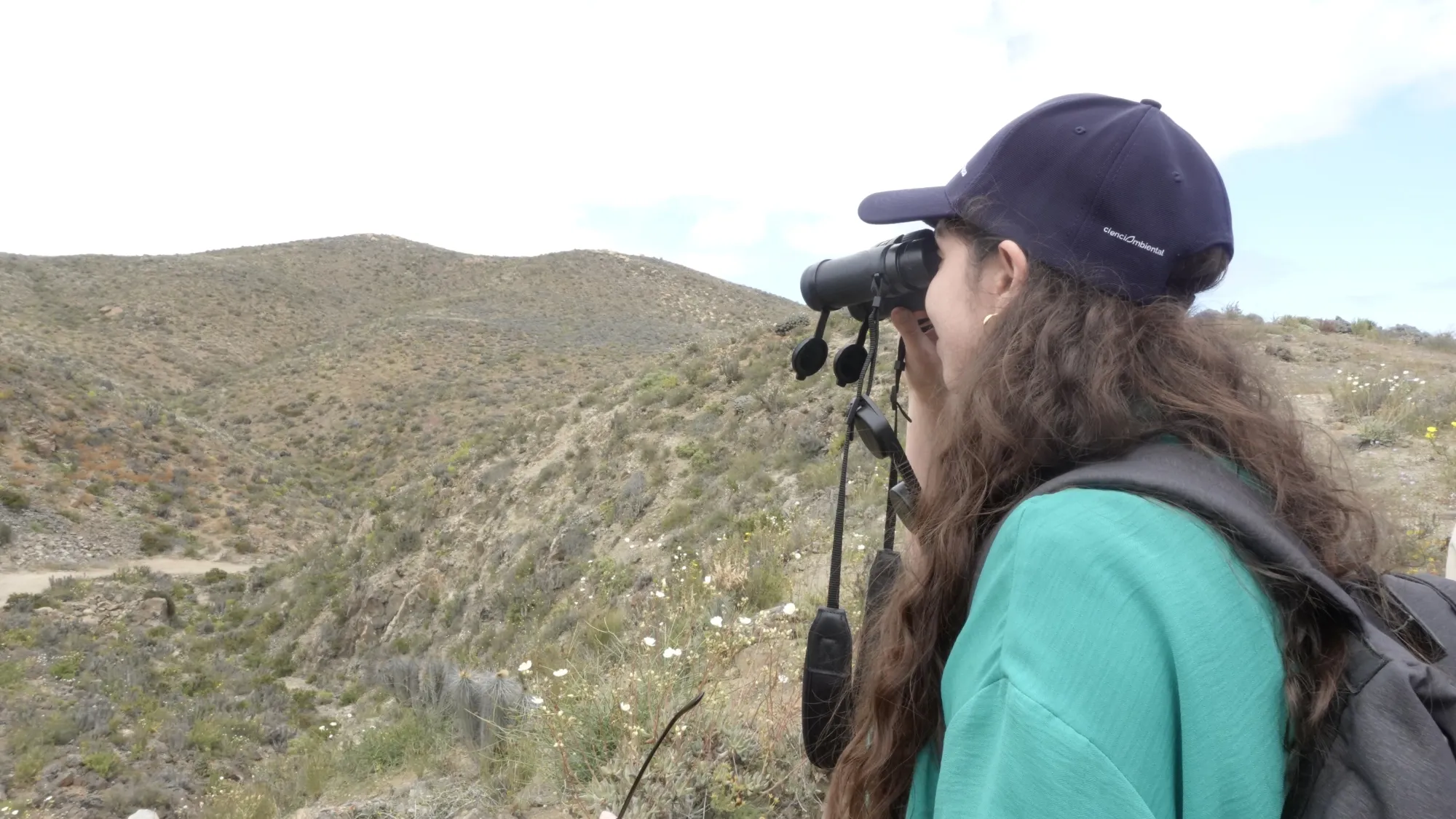 Imagen de galería 5