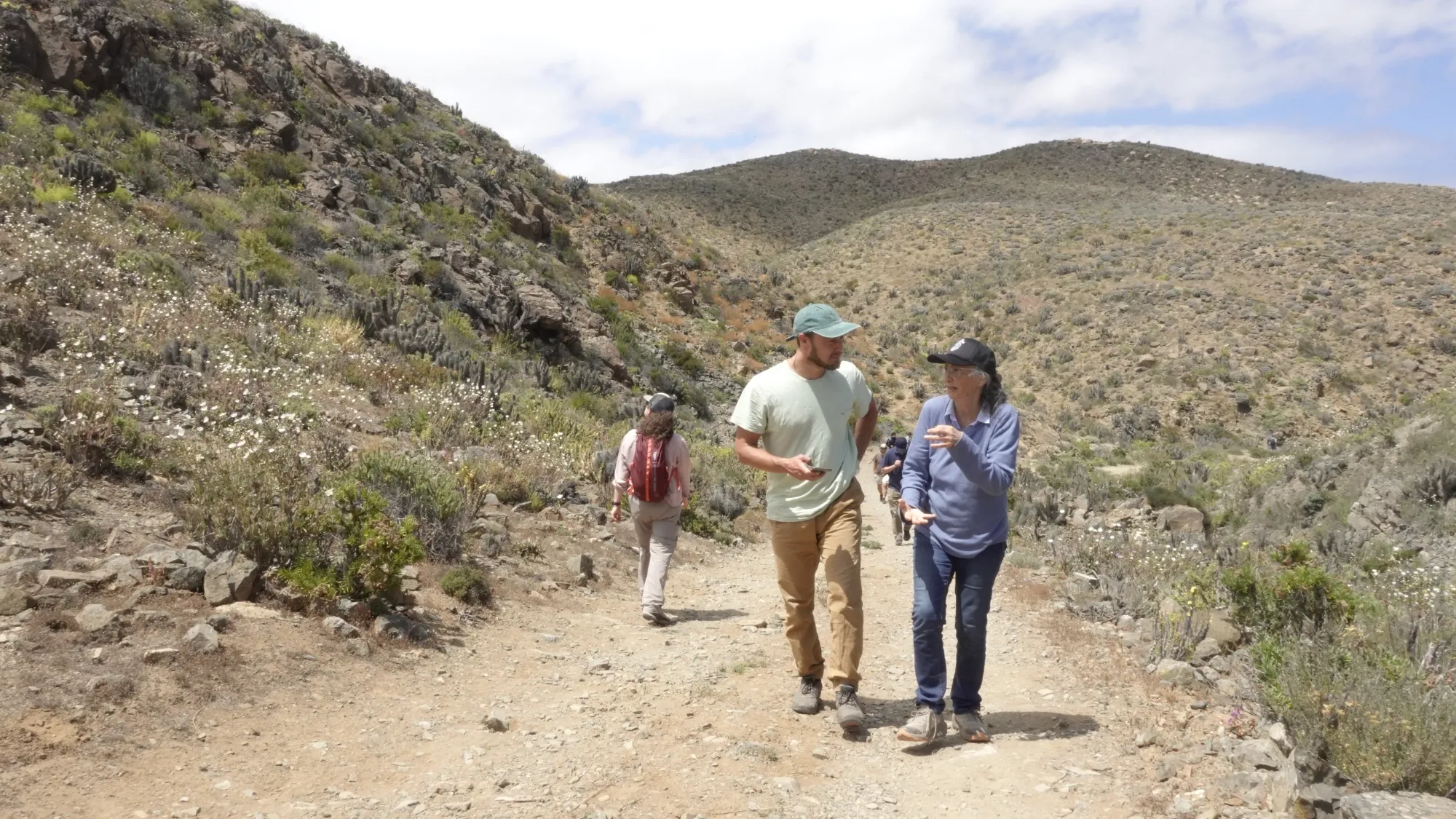 Imagen de galería 6