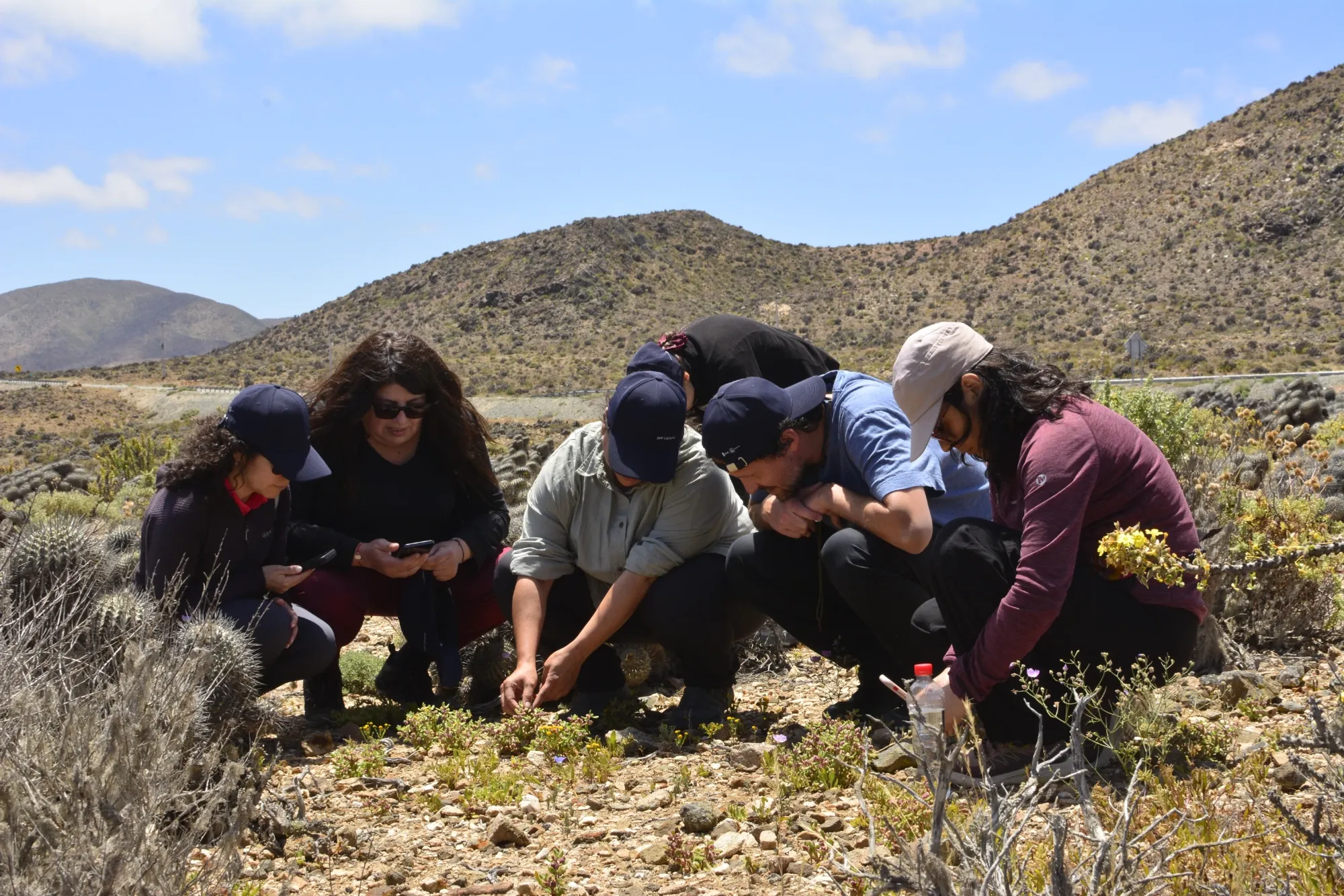 Imagen de galería 7