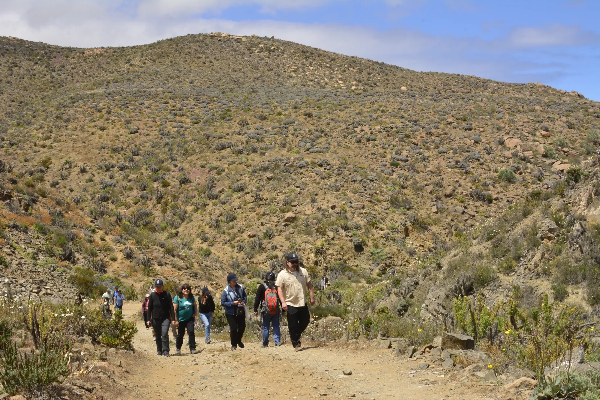 Imagen de galería 8