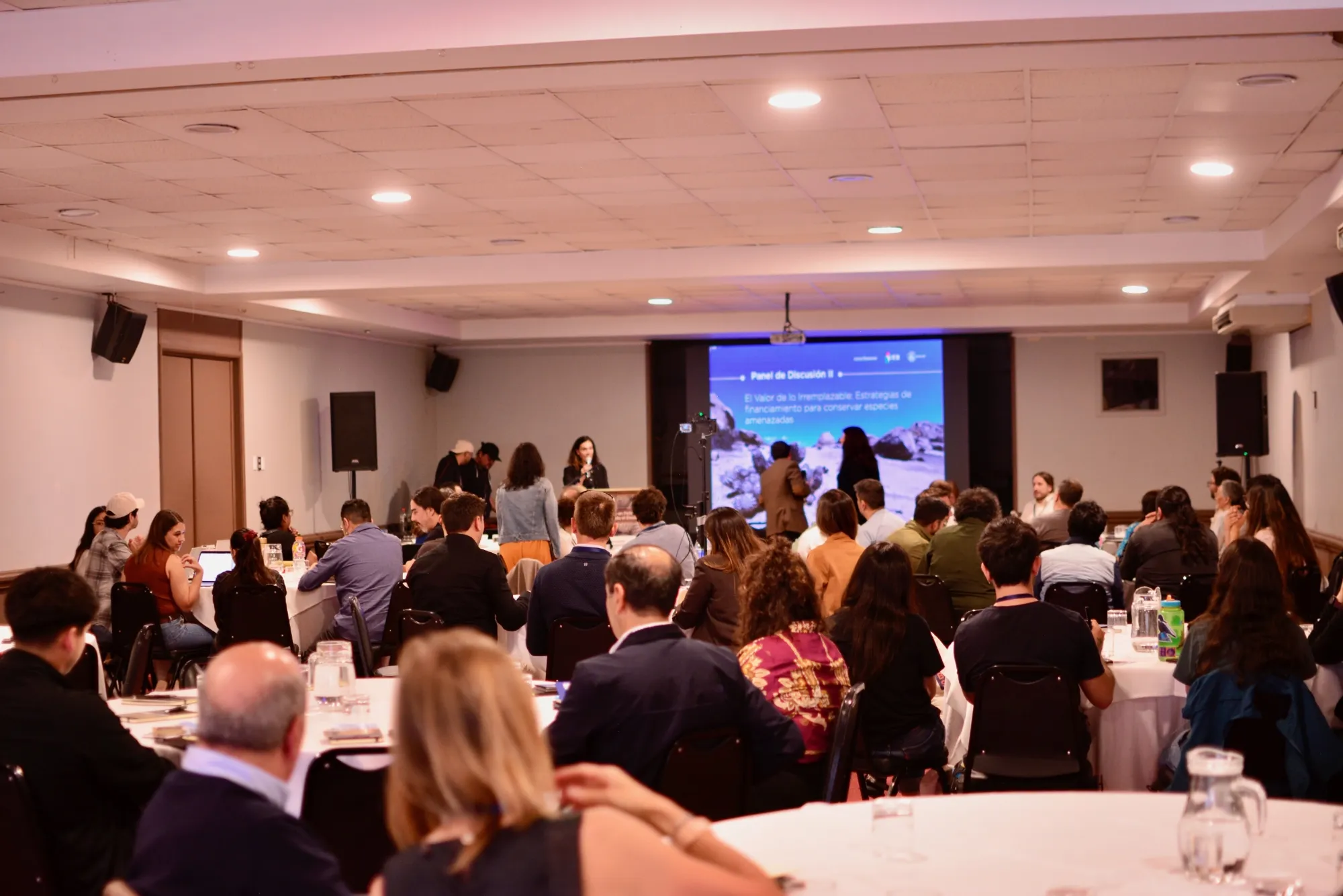 Imagen de galería 13