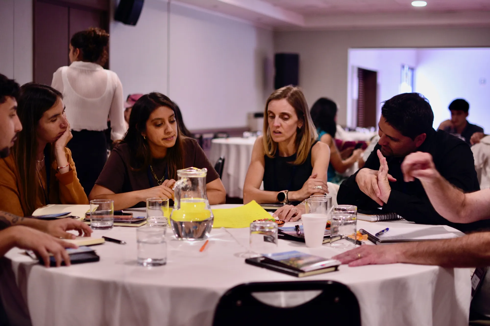 Imagen de galería 14