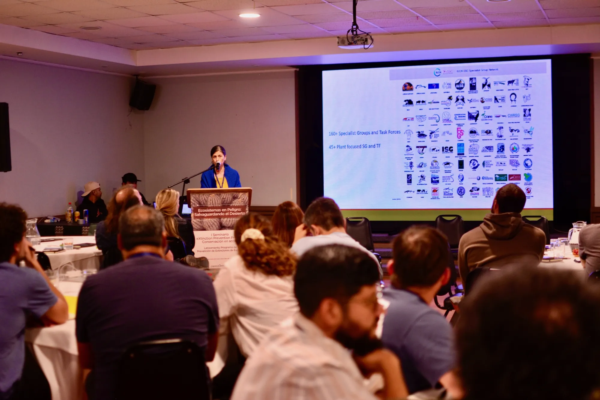 Imagen de galería 15