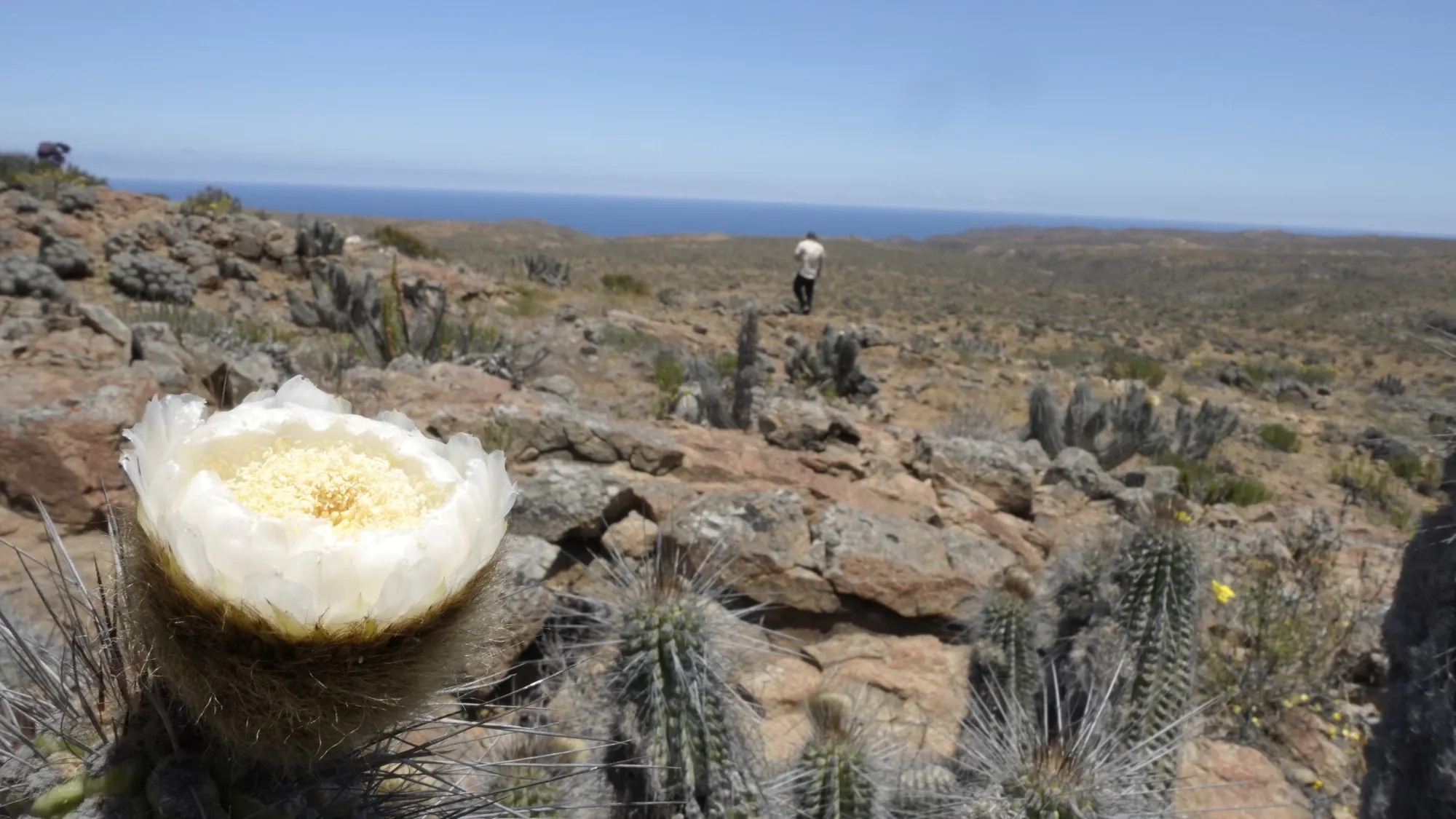 Imagen de galería 21