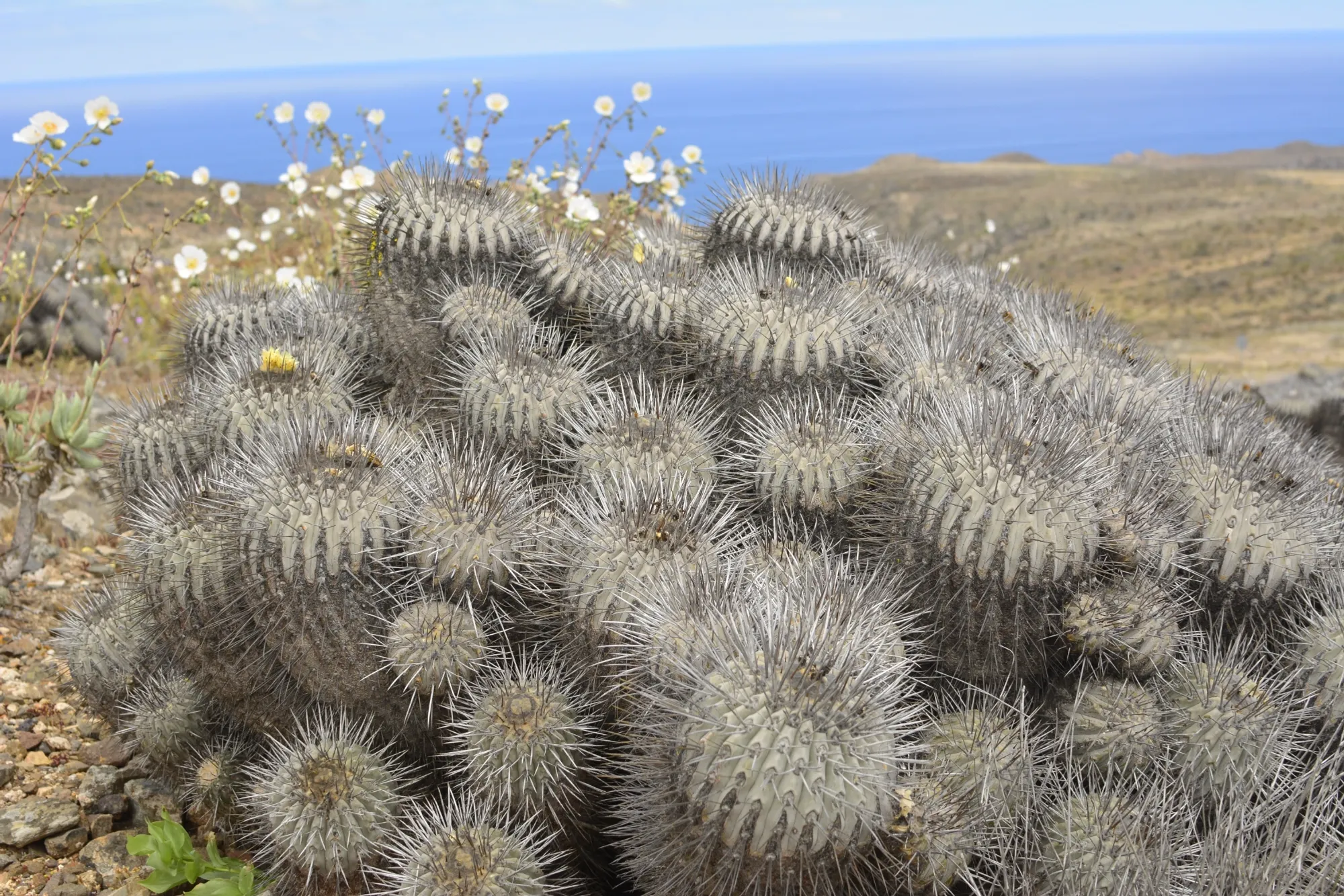 Imagen de galería 22