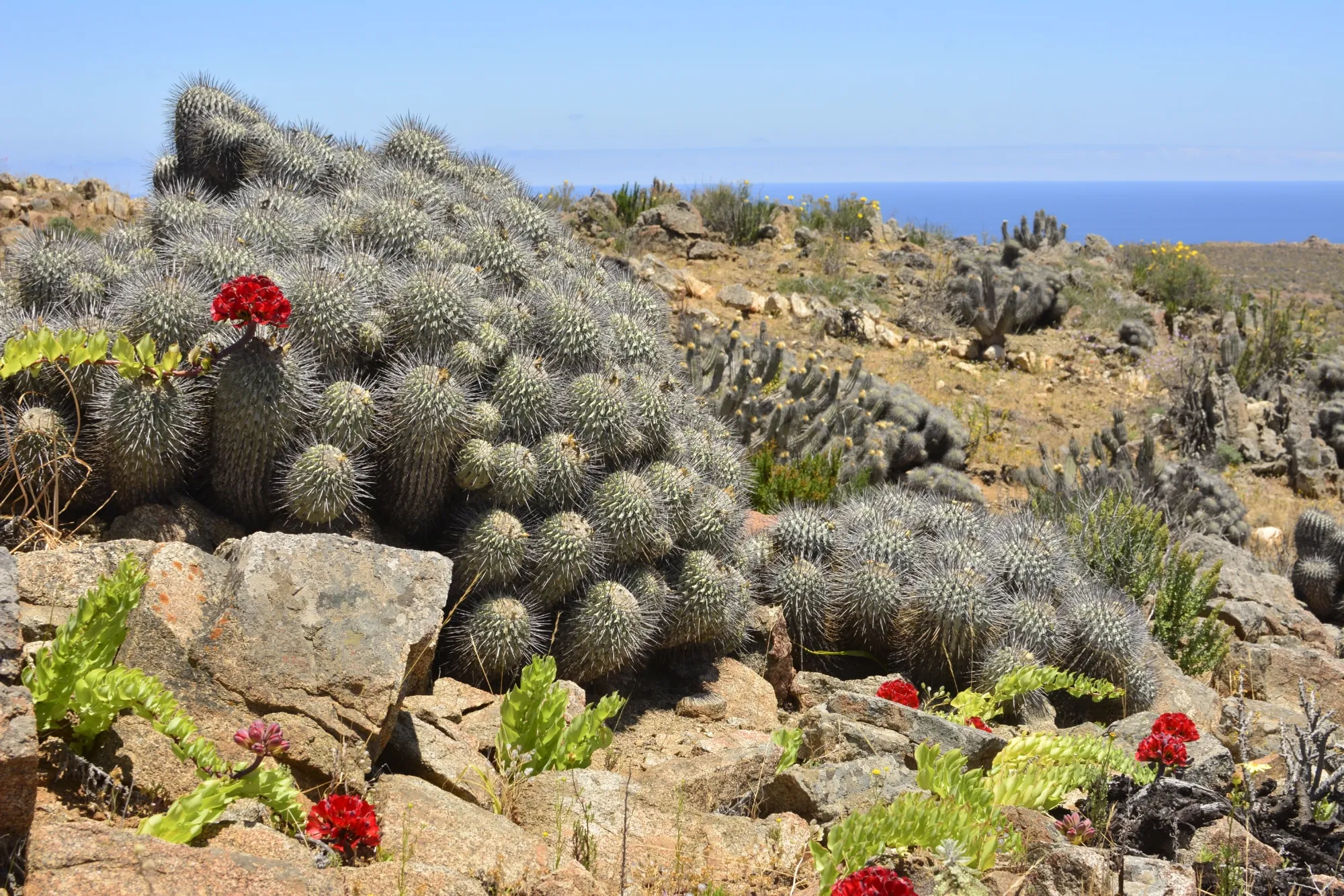 Imagen de galería 23