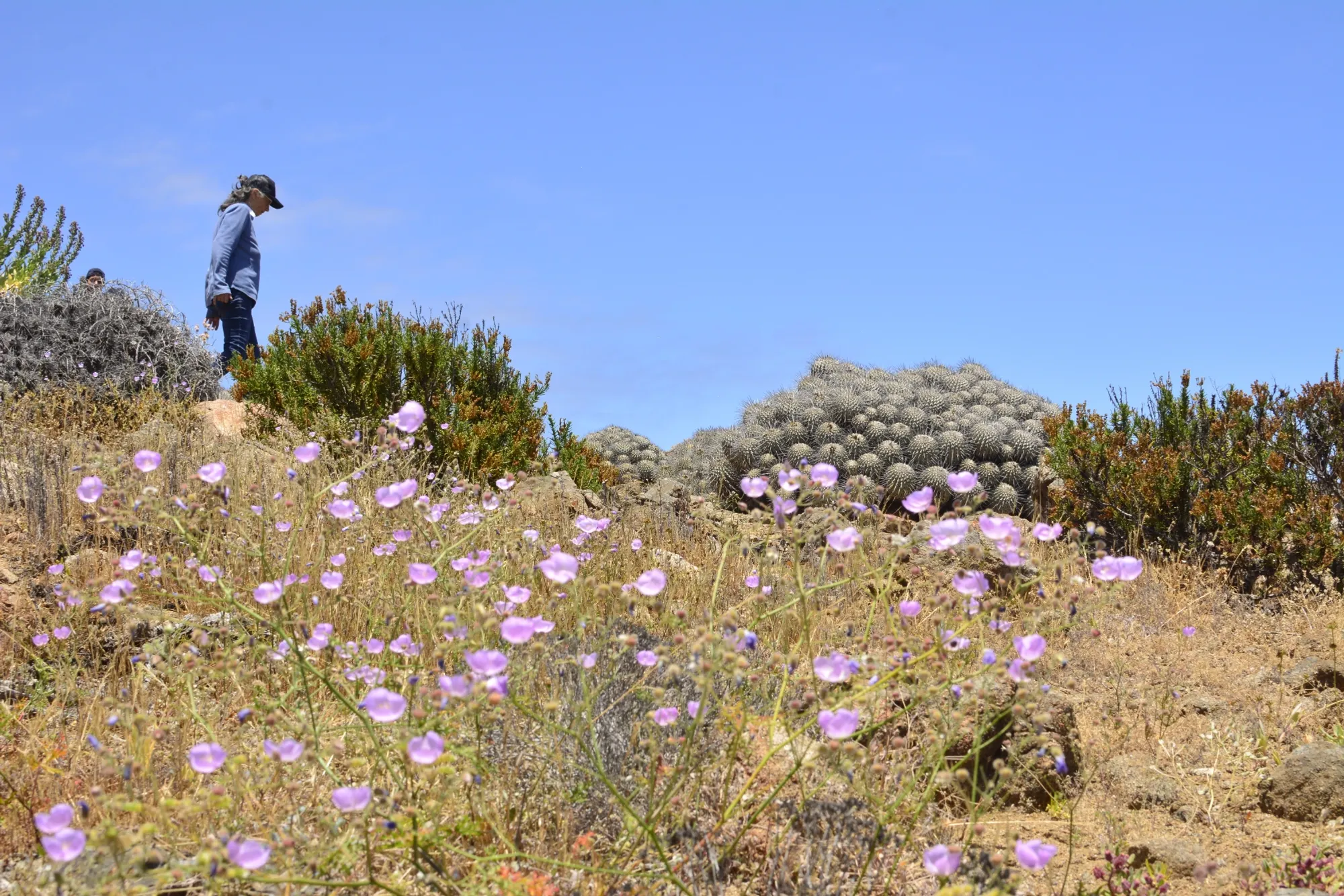 Imagen de galería 24