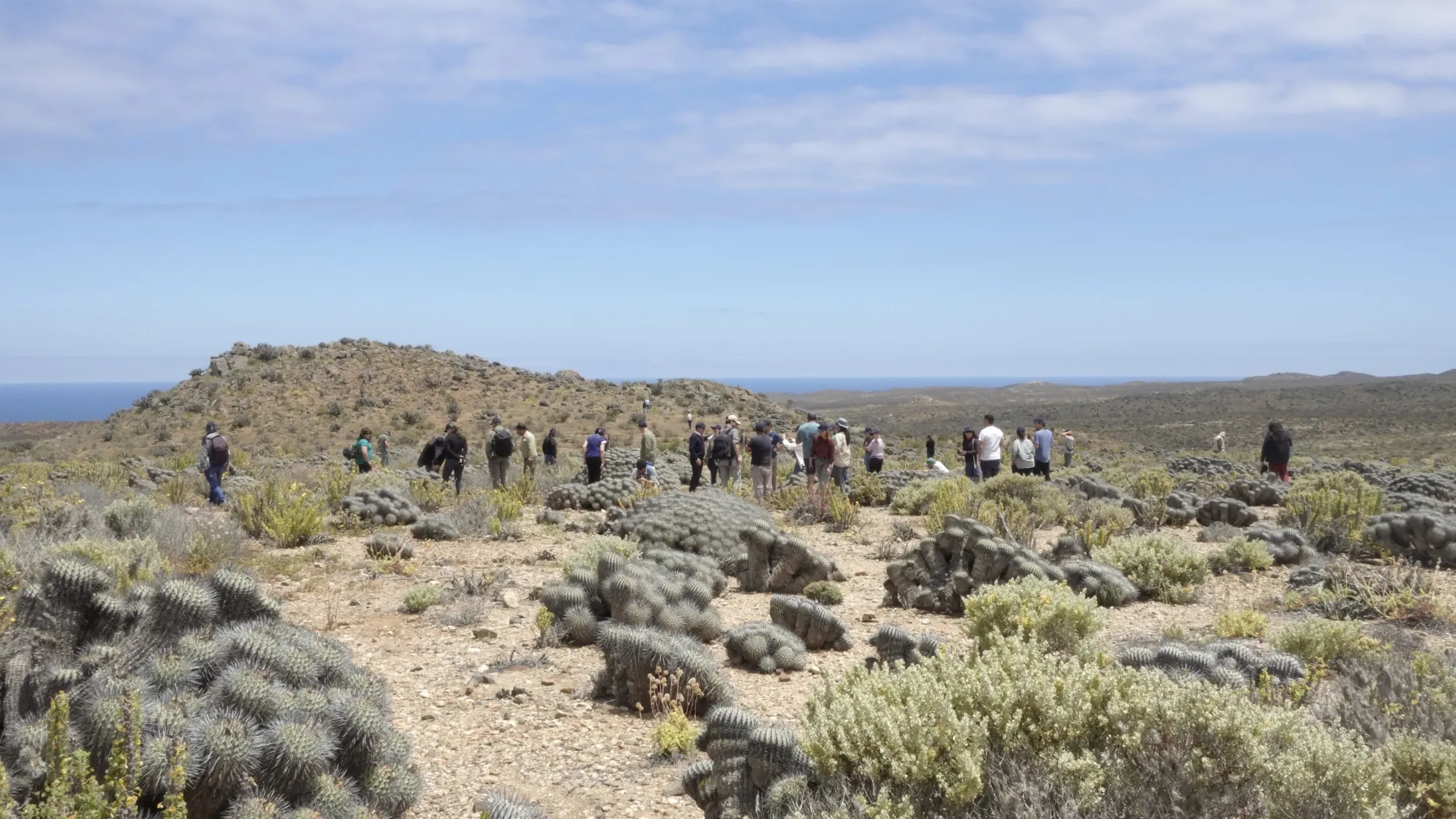 Revive el Seminario "Ecosistemas en Peligro: Salvaguardando el Desierto"
